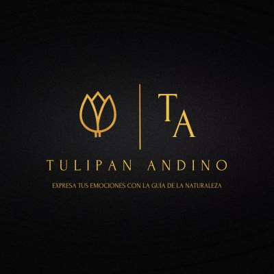 Tulipan
